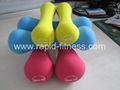 China Gym Rubber Casting Dumbbell 1