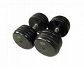Logo Available Gym Fitness Dumbbell / Round Rubber Dumbbells For Gym Exercises
