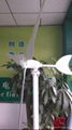 50w 100w mini wind power generator wind