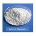 Calcium Gluconate Food Grade Nutrition