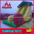 SL-1955 Fashion Design Used Inflatable Water Slide For Sale 1