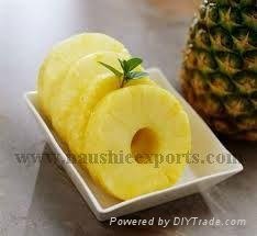 Offer To Sell Canned pine apple