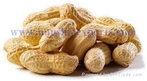 Offer To Sell Peanut
