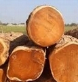 Timber