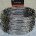 titanium wire 2