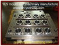 PET jar preform mould 3