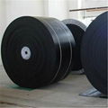 Oil resistant conveyor belt 1