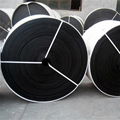 Oil resistant conveyor belt 5