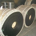 Oil resistant conveyor belt 4