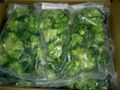 IQF Broccoli 2