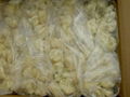 IQF Cauliflowers 1