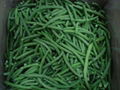 IQF Green bean 1