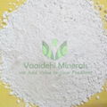 Dolomite Powder