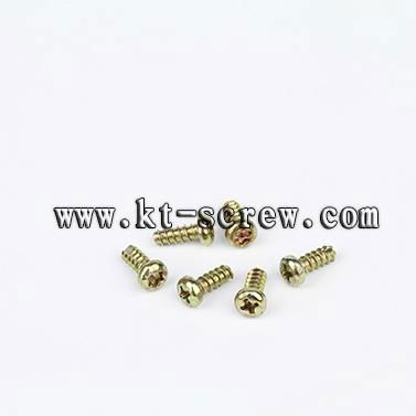 stainless license plates security screws for vehicles(with ISO card)