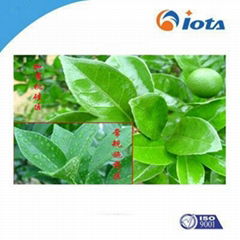 Agricultural silicone surfactants IOTA-2000