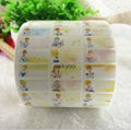 PVC name sticker 30x13mm new design cinderella 4