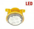 LED Explosion proof Light