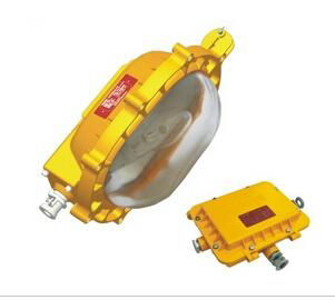 Explosion proof Floodlight