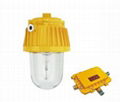 Explosion proof Platform Light