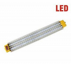 Explosion proof Fluorescent Light