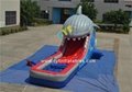 shark water slide 3