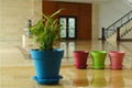 102mm / 4 inch indoor Various color plastic flower pot decorations Wholesale 4