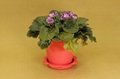 102mm / 4 inch indoor Various color plastic flower pot decorations Wholesale 3