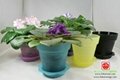152mm / 6 inch indoor Transparent color plastic flower or Plant pot decorations 5