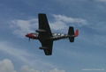 ARF Model Aircraft  Giant Scale Warbird