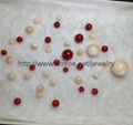 Natural Coral Semi Precious Stones 4