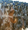 New product top quality 7a 100% brazilian virgin hair 2