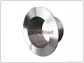 Weld Neck Flanges