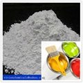 Calcium Carbonate Powder 1