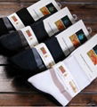 Spring Men's Socks With Kangaroo Pattern