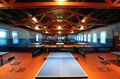 PVC Table tennis flooring