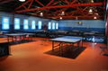 PVC Table tennis flooring 3