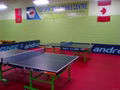 PVC Table tennis flooring 5