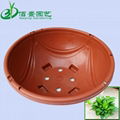 Plastic Red flower pot for bracketplant 1