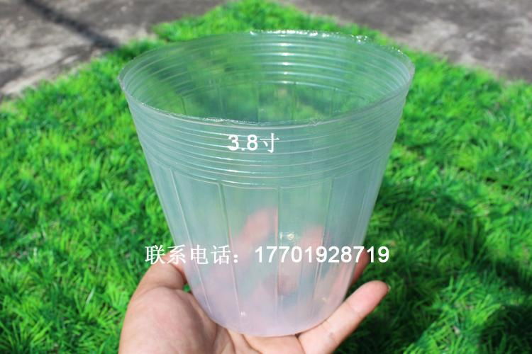 Clear high quality Plastic Nursery Pot for cymbidium 3