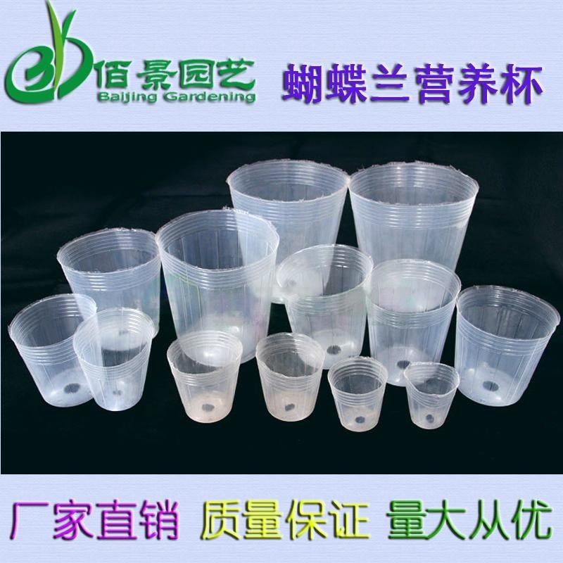 Clear high quality Plastic Nursery Pot for cymbidium