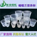 Clear high quality Plastic Nursery Pot for cymbidium