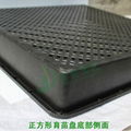 plastic seeding tray 2