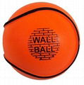  All Weather and Wall Orange Hurling Balls 1