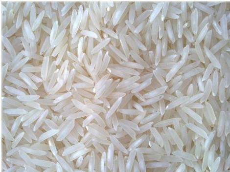 Basmati Rice 