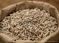 Wood Pellets from Thailand 1