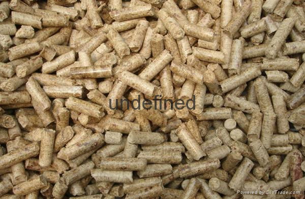 Wood Pellets from Thailand 2