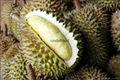 Fresh Durian 2