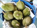 Fresh Durian 3