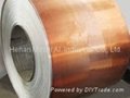 copper-aluminum-composite-strip-1-220 1