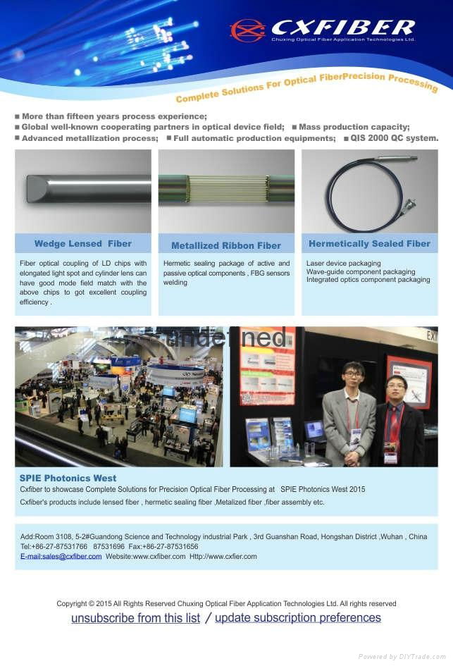 High precision optical processing - fiber with lens 